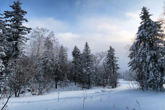 成龙主动招呼刘亦菲来合影她穿紧身瑜伽裤三角区不明显她很瘦